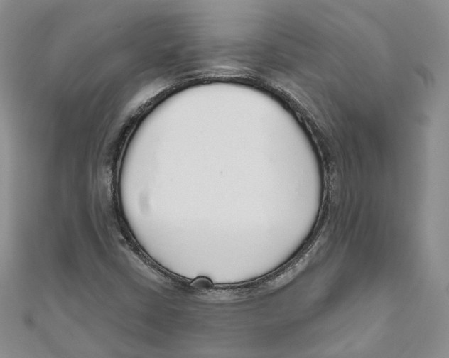 X0000110981402200907171722