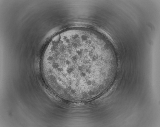 X0000110981403200907171722