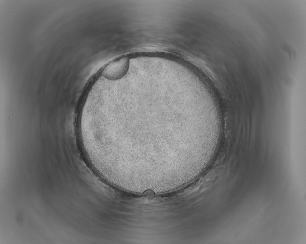 X0000110981404200907171722