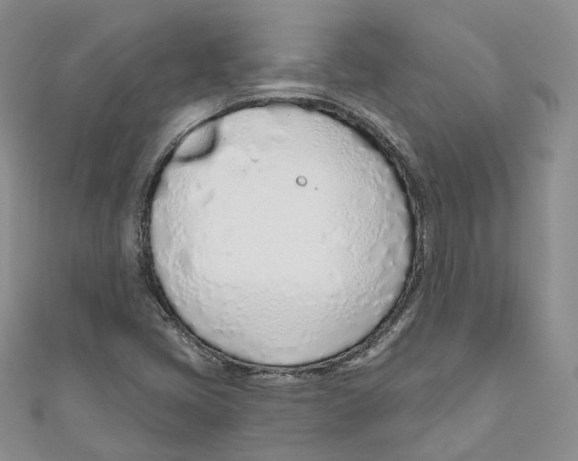 X0000110981405200907171722