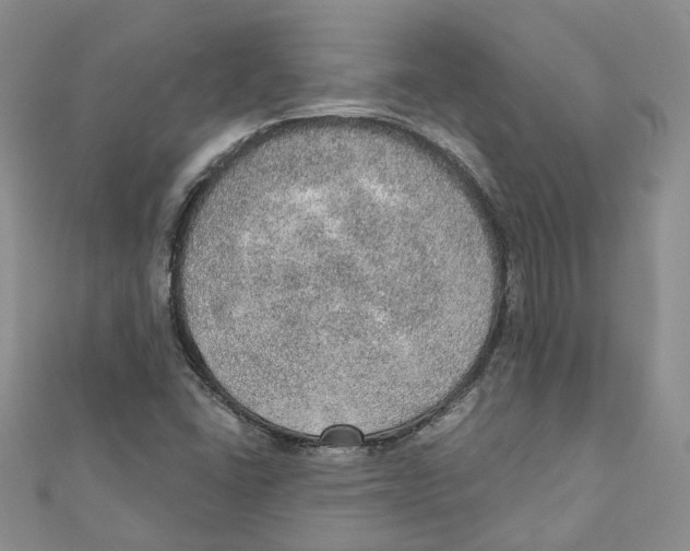 X0000110981406200907171722