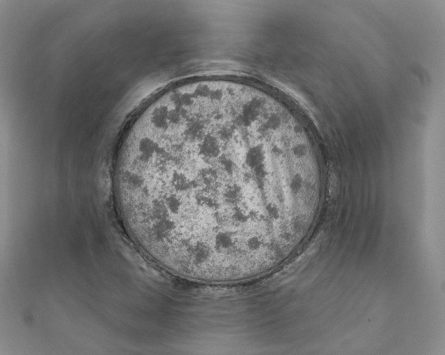 X0000110981407200907171722