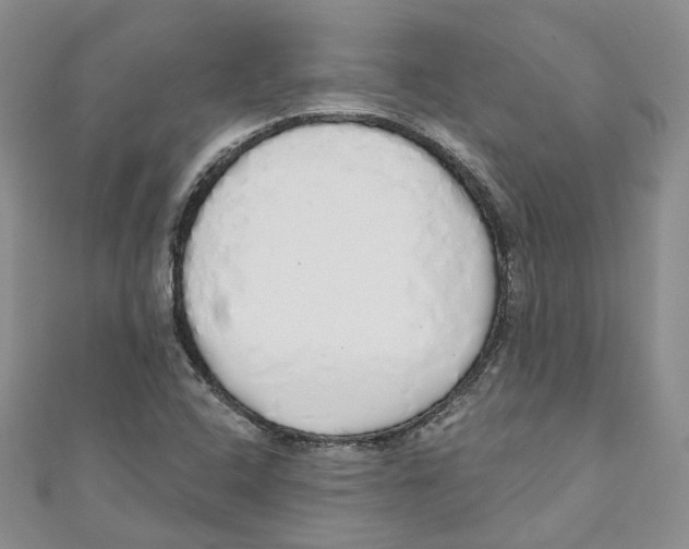 X0000110981408200907171722