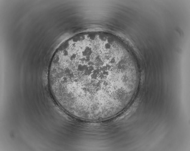 X0000110981409200907171722