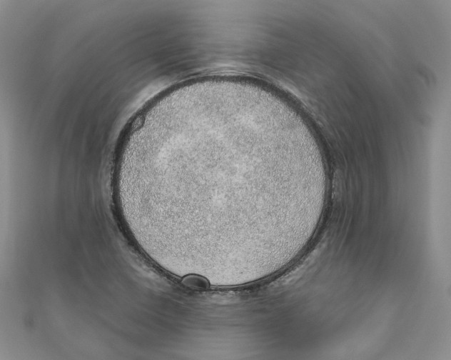 X0000110981410200907171722