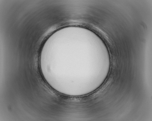 X0000110981411200907171722