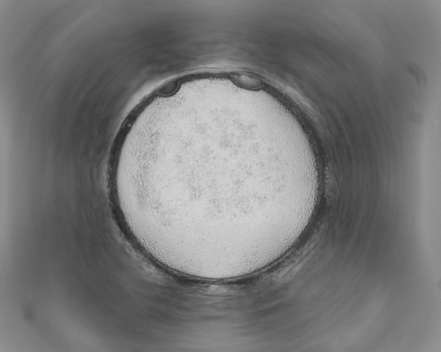 X0000110981412200907171722