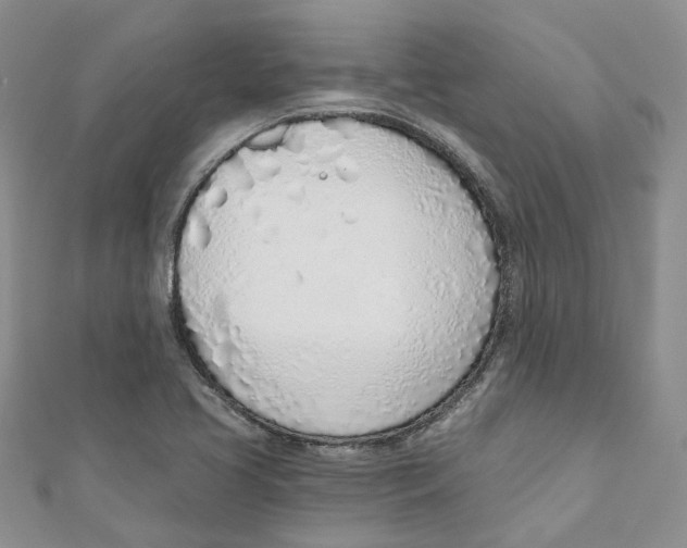 X0000110981413200907171722