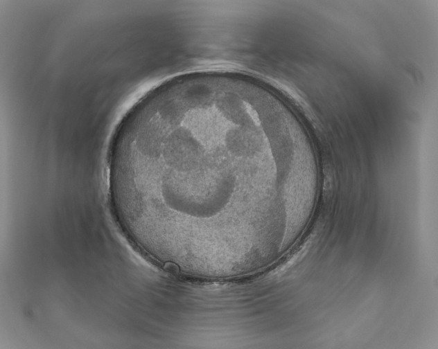 X0000110981414200907171722