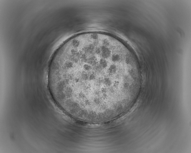 X0000110981415200907171722