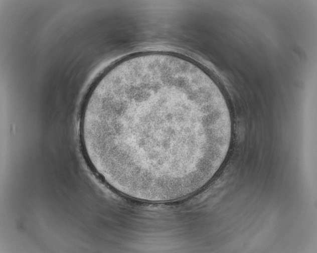 X0000110981416200907171722