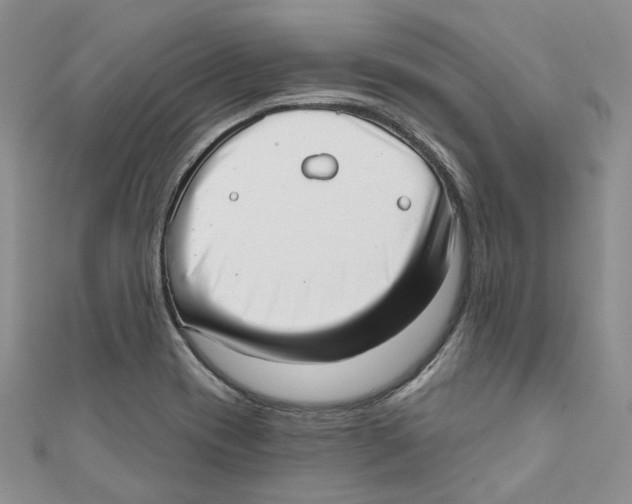 X0000110981417200907171722