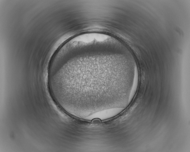 X0000110981418200907171722