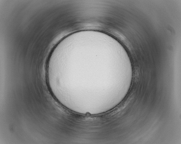 X0000110981419200907171722