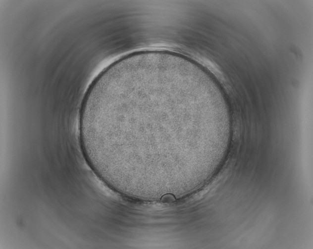 X0000110981420200907171722