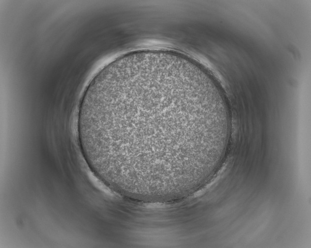 X0000110981421200907171722