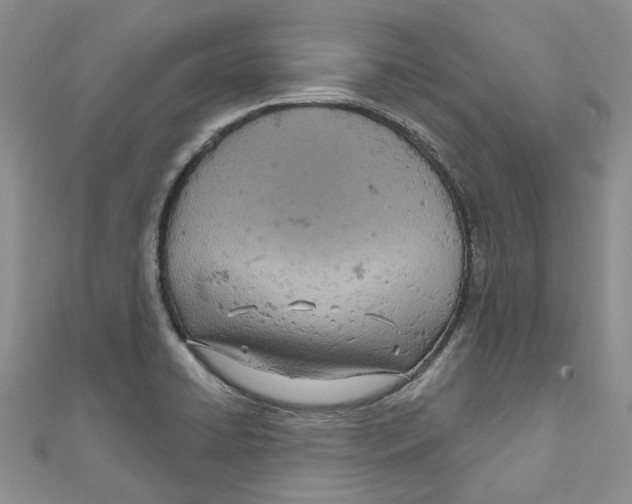 X0000110981422200907171722