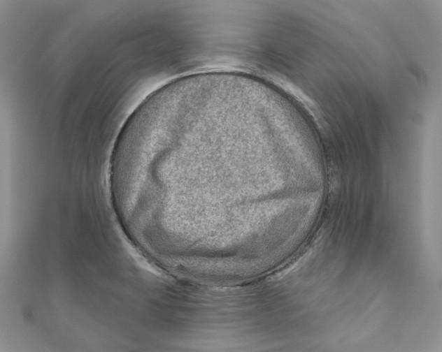 X0000110981423200907171722