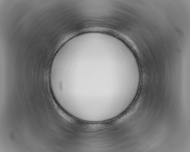 X0000110981425200907171722