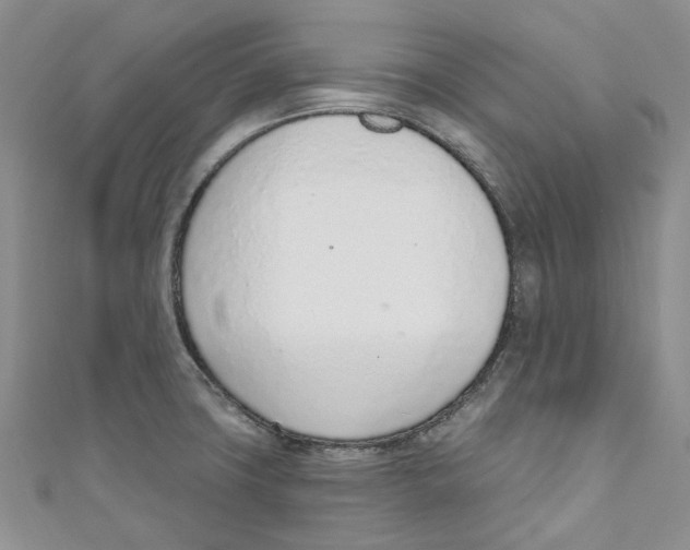 X0000110981427200907171722