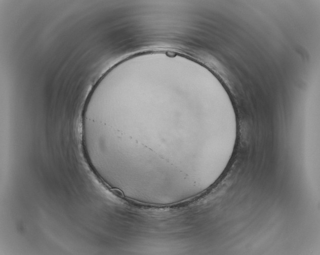 X0000110981428200907171722