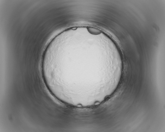 X0000110981429200907171722