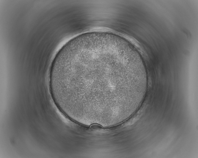 X0000110981430200907171722