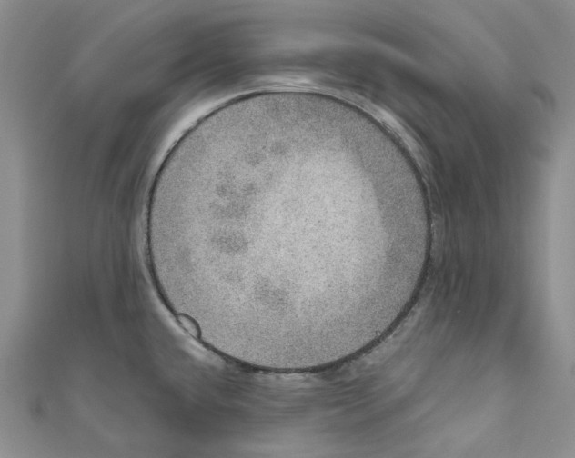 X0000110981432200907171722