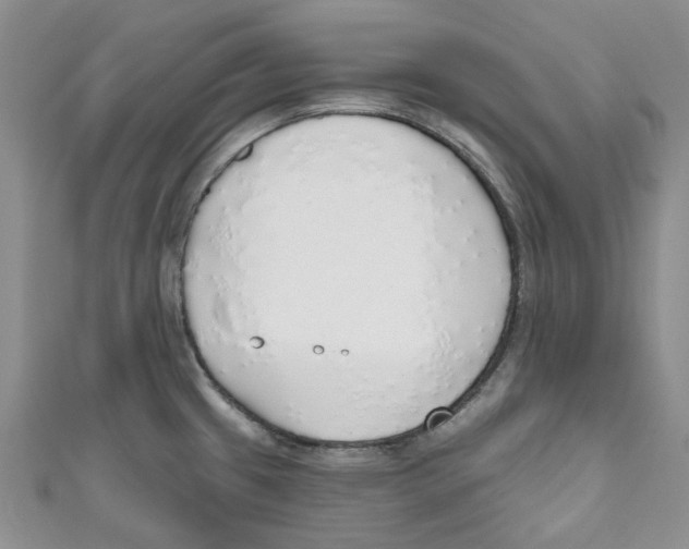 X0000110981433200907171722