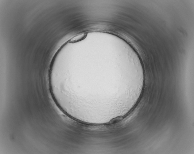 X0000110981434200907171722