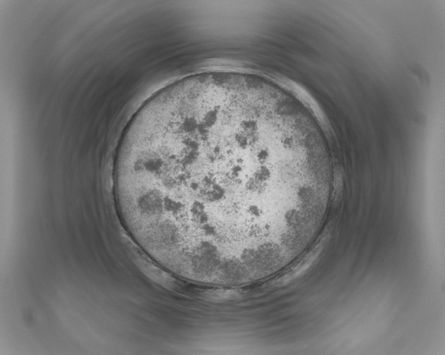 X0000110981435200907171722