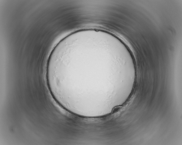 X0000110981437200907171722