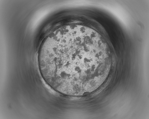 X0000110981439200907171722