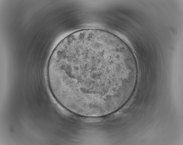 X0000110981440200907171722