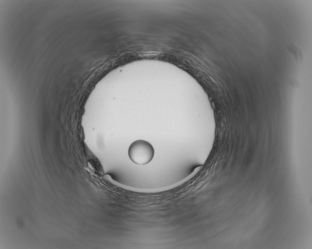 X0000110981441200907171722