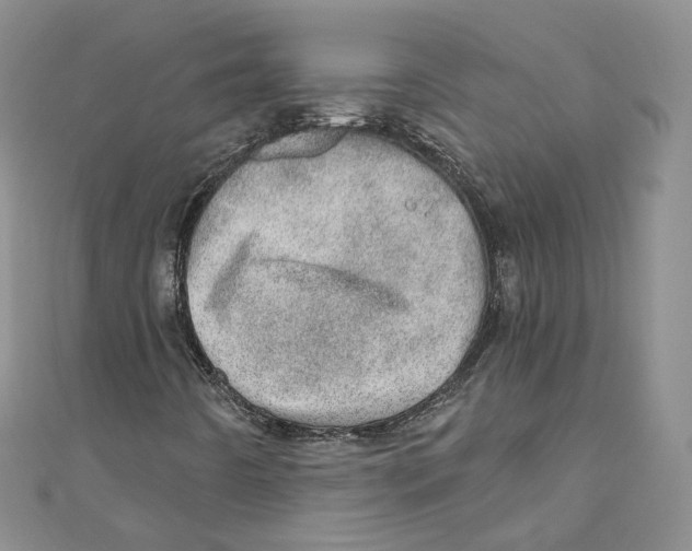 X0000110981442200907171722