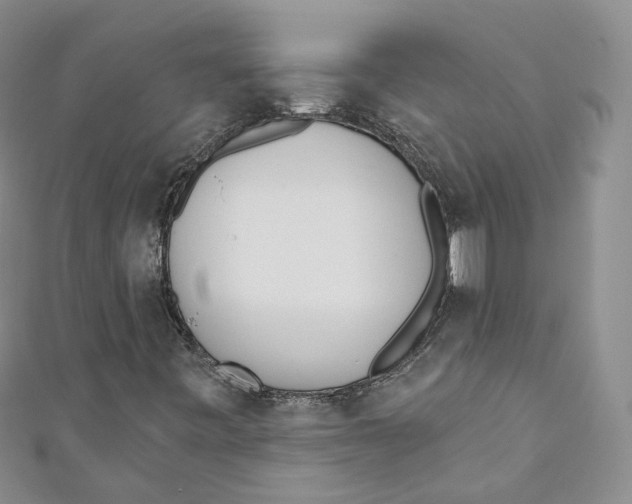 X0000110981443200907171722