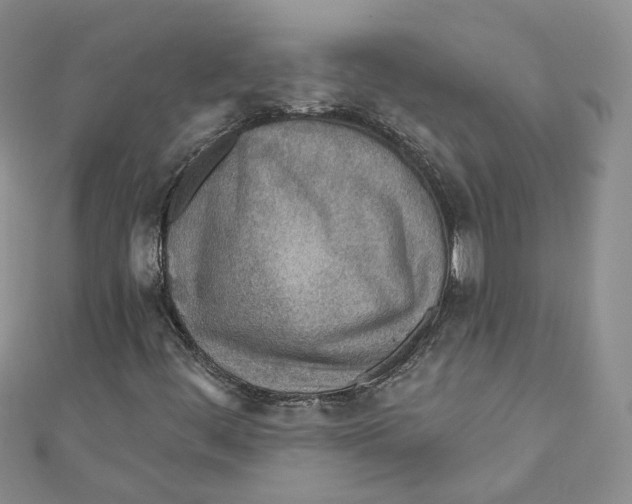 X0000110981444200907171722