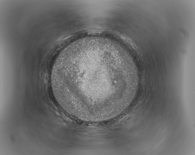 X0000110981445200907171722