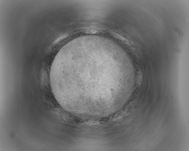 X0000110981446200907171722