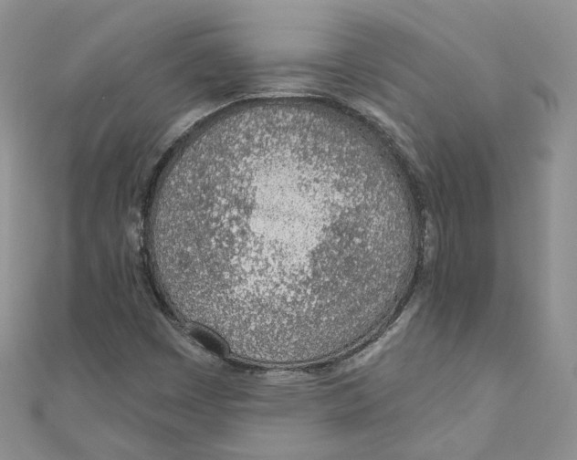 X0000110981449200907171722