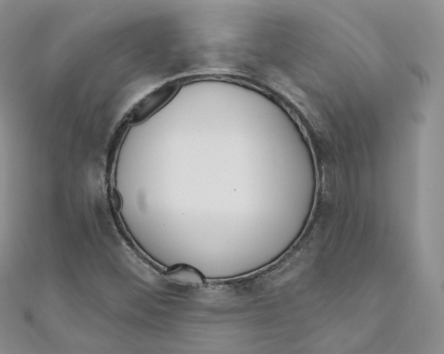 X0000110981452200907171722