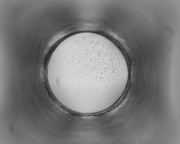 X0000110981453200907171722