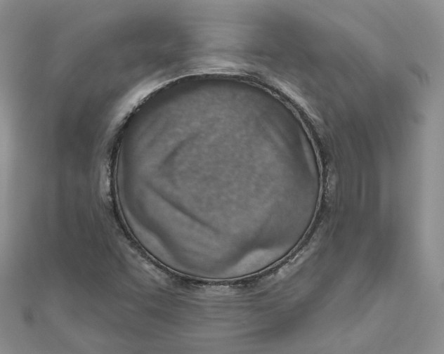 X0000110981455200907171722