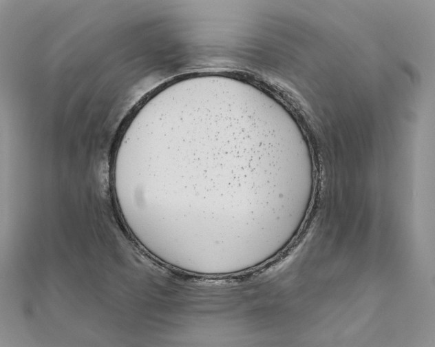 X0000110981457200907171722