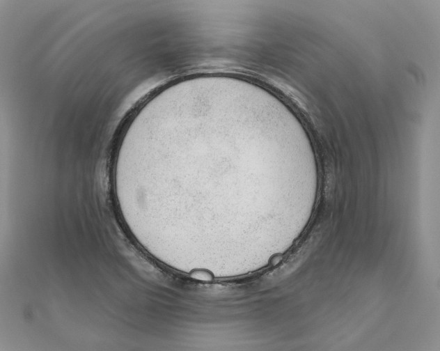 X0000110981458200907171722