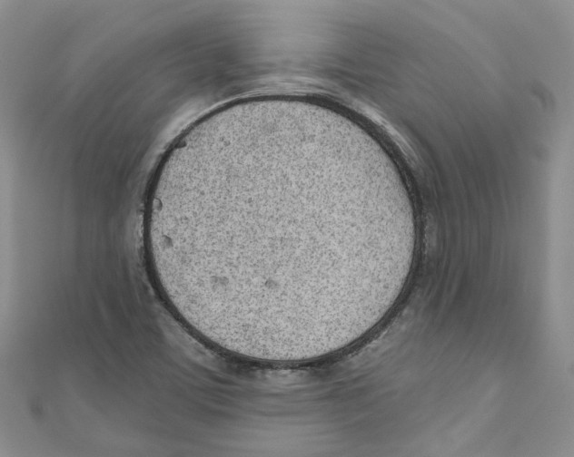 X0000110981459200907171722