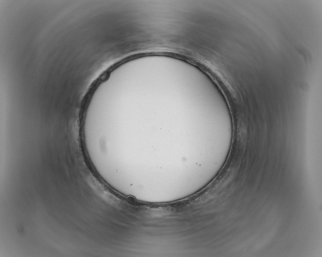 X0000110981460200907171722