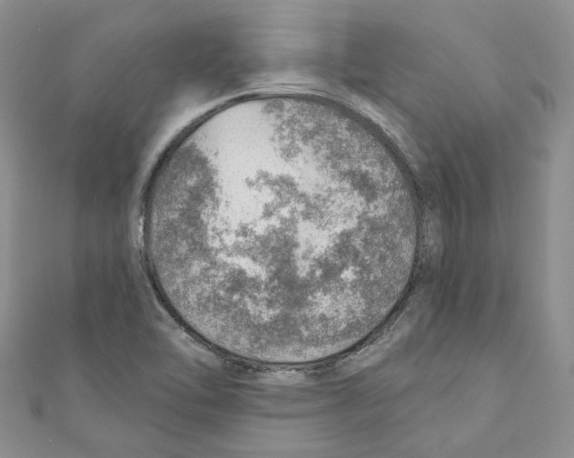 X0000110981462200907171722