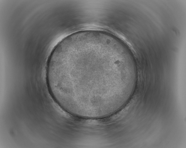 X0000110981463200907171722